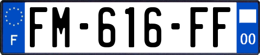 FM-616-FF