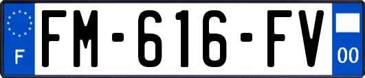 FM-616-FV
