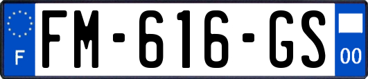 FM-616-GS