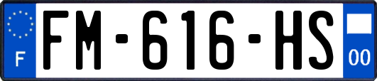 FM-616-HS