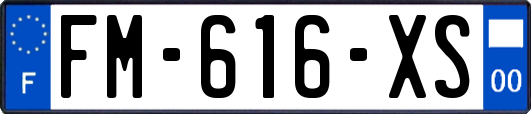 FM-616-XS