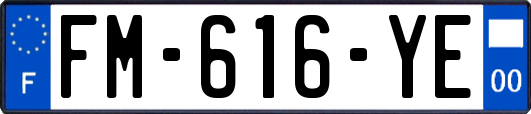 FM-616-YE