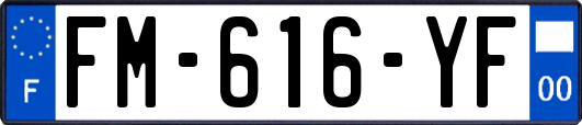 FM-616-YF