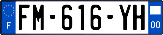 FM-616-YH