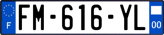 FM-616-YL