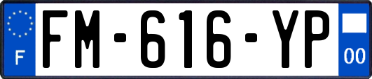 FM-616-YP