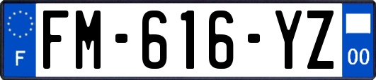 FM-616-YZ