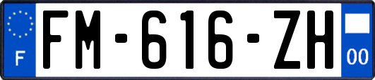 FM-616-ZH