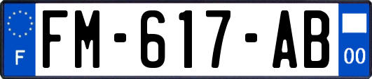 FM-617-AB