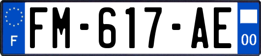 FM-617-AE