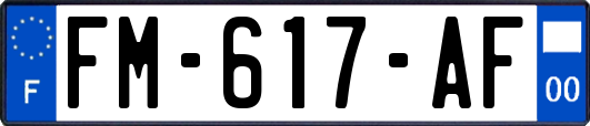 FM-617-AF