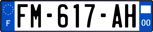 FM-617-AH