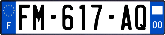 FM-617-AQ