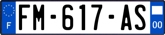 FM-617-AS