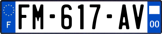 FM-617-AV