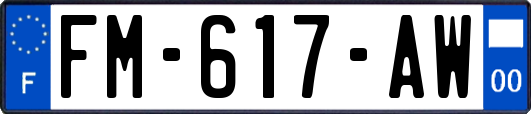 FM-617-AW
