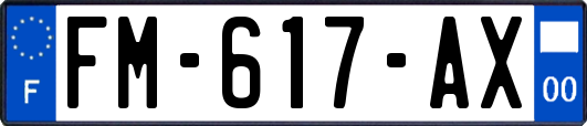 FM-617-AX