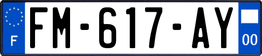 FM-617-AY