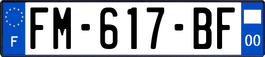 FM-617-BF