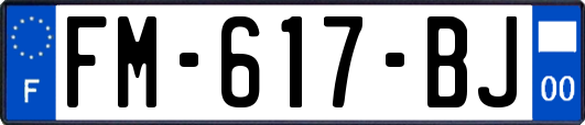 FM-617-BJ