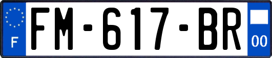 FM-617-BR