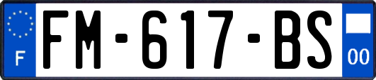 FM-617-BS