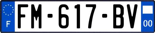FM-617-BV