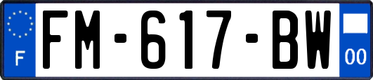 FM-617-BW