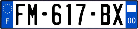 FM-617-BX