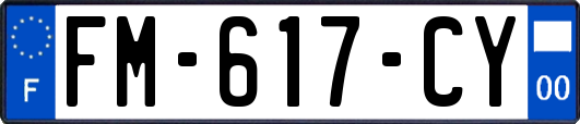 FM-617-CY