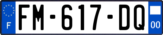 FM-617-DQ