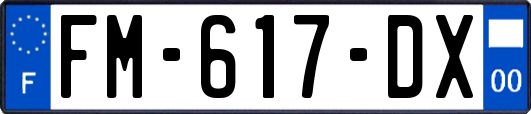 FM-617-DX