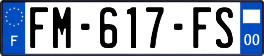 FM-617-FS