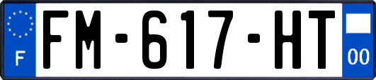 FM-617-HT