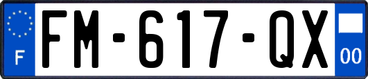 FM-617-QX