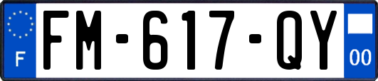 FM-617-QY