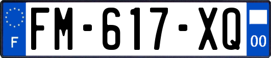 FM-617-XQ