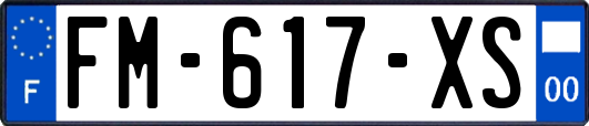 FM-617-XS