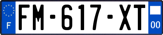 FM-617-XT