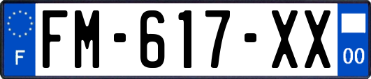 FM-617-XX