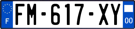 FM-617-XY