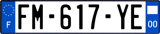 FM-617-YE