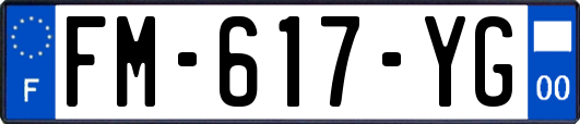 FM-617-YG