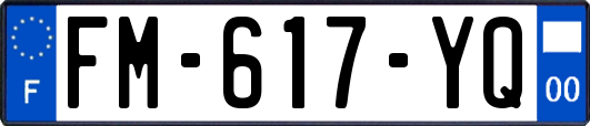 FM-617-YQ