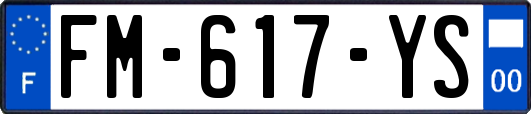FM-617-YS