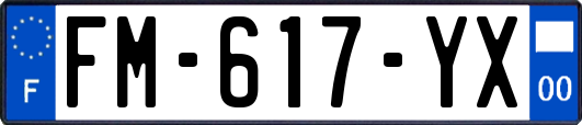 FM-617-YX