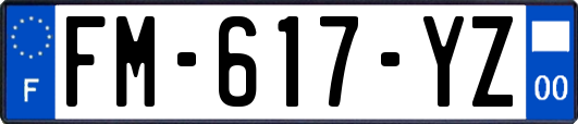 FM-617-YZ