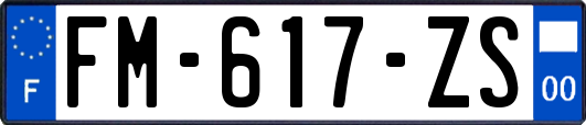 FM-617-ZS