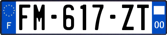 FM-617-ZT