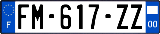 FM-617-ZZ